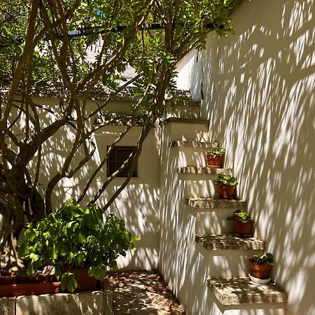 I Trulli Della Naturabio Martina Franca Eksteriør bilde