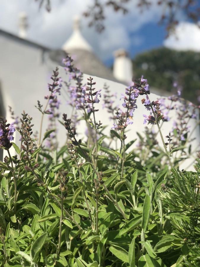 I Trulli Della Naturabio Martina Franca Eksteriør bilde