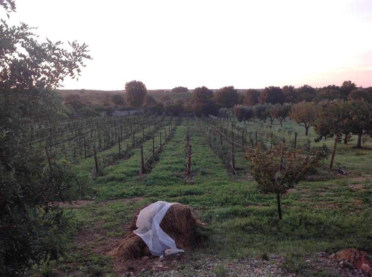 I Trulli Della Naturabio Martina Franca Eksteriør bilde