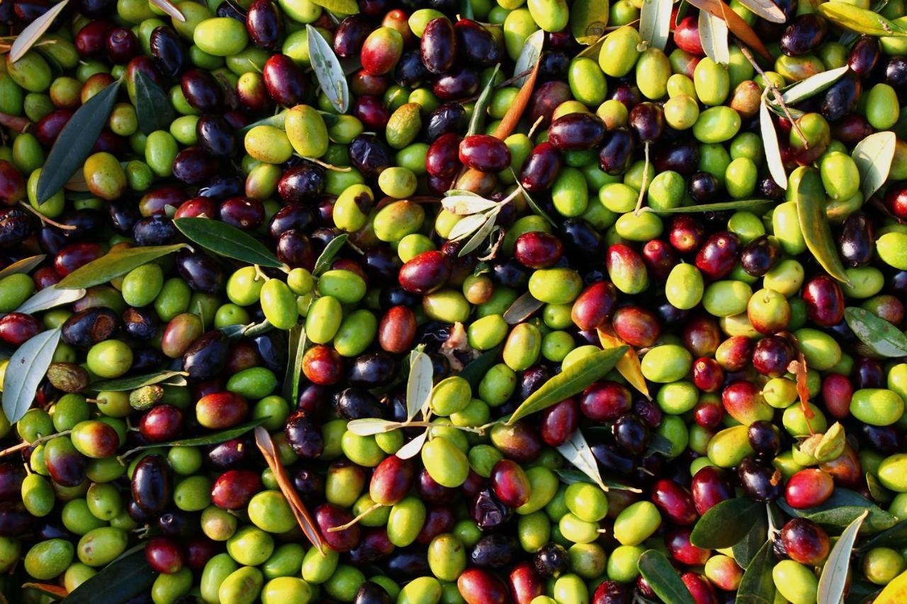 I Trulli Della Naturabio Martina Franca Eksteriør bilde
